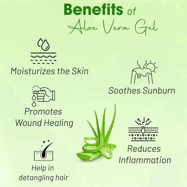 Pure Alovera Gel - Image 4