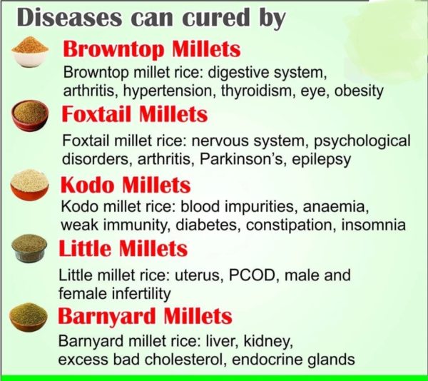 Combo of 5 Positive Millets 500 gm each - Image 3