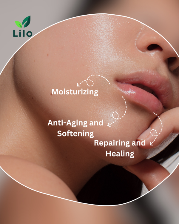 Lip Balm (Cocoa Almond) | Cocoa Butter | Almond Oil | Jojoba Oil - Image 6