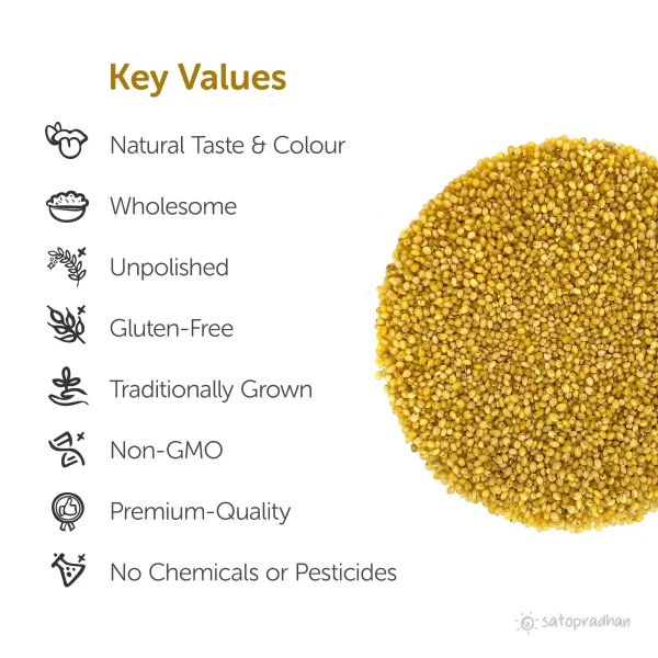 Foxtail Millet Grains 500g - Image 2