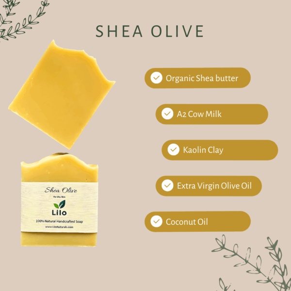 Shea Olive | For Dry Skin | Organic Shea Butter | Mango Seed Butter | Fresh A2 Cow Milk | Extra Virgin Olive Oil | Cold Pressed Coconut Oil - Image 2