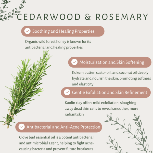 Cedarwood & Rosemary | For Oily Skin | Activated Charcoal | Organic Wild Forest Honey | Kokum Butter | Cedarwood | Rosemary | Cold Pressed Coconut Oil - Image 3