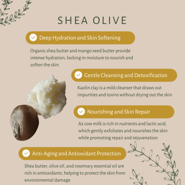 Shea Olive | For Dry Skin | Organic Shea Butter | Mango Seed Butter | Fresh A2 Cow Milk | Extra Virgin Olive Oil | Cold Pressed Coconut Oil - Image 3