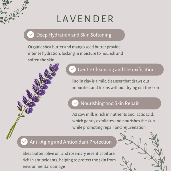 Lavender | For Dry Skin | Organic Wild Forest Honey | Cocoa Butter | Mango Seed Butter | Fresh A2 Cow Milk | Alkanet Root | Lavender | Cold Pressed Coconut Oil | Extra Virgin Olive Oil - Image 3
