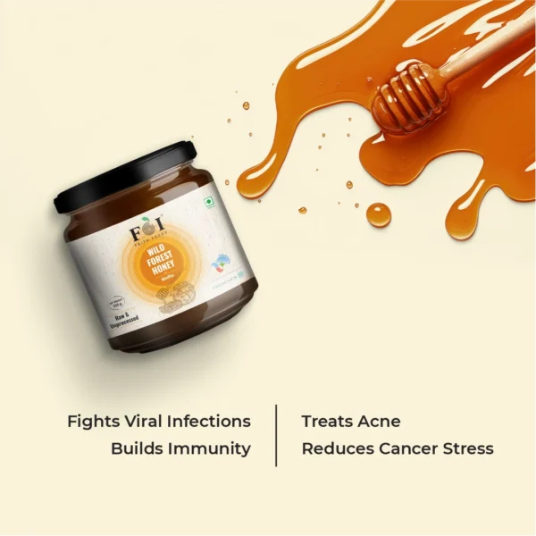 Wild Forest Honey - Image 4