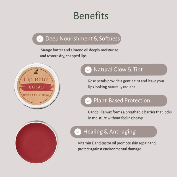Lip Balm (Gulab) | Mango Butter | Almond Oil | Vitamin E Oil - Image 4