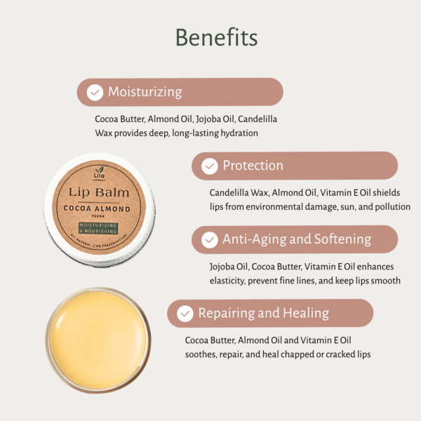 Lip Balm (Cocoa Almond) | Cocoa Butter | Almond Oil | Jojoba Oil - Image 4