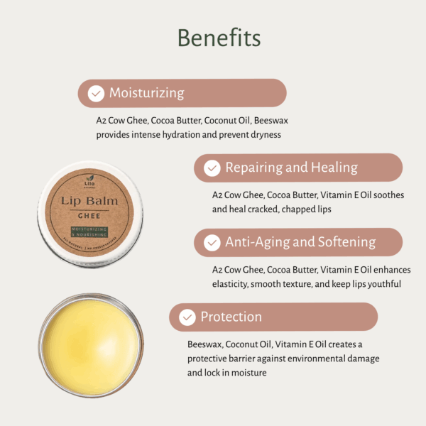 Lip Balm (Ghee) | Fresh A2 Cow Ghee | Cocoa Butter | Coconut Oil - Image 4