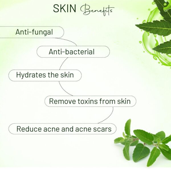 Beautimania Anti Acne Soap for Clear Skin- pack of 2 | Anti Acne & Pimple Cleansing Bar for Face and Body with Tea Tree oil, Tulsi & Neem Acne Soap for Face & Body - Image 2